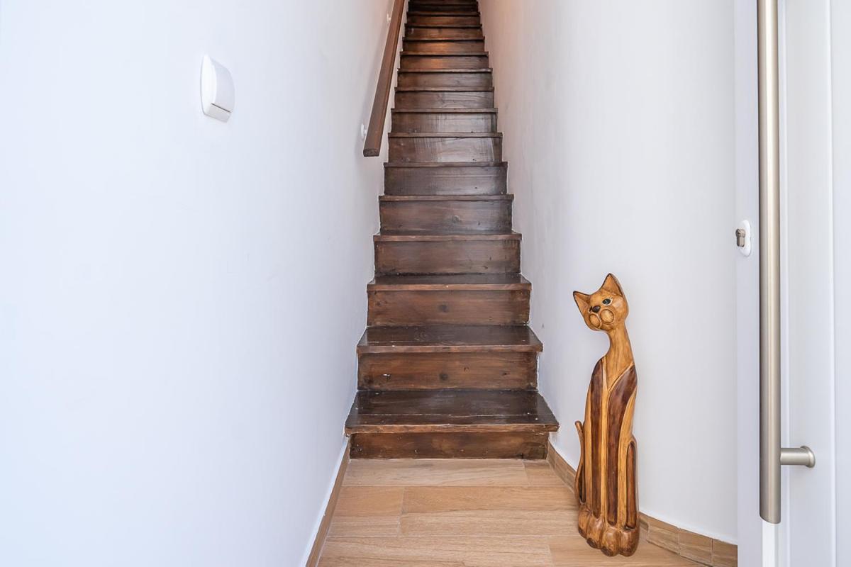 A Casa Do Leo
